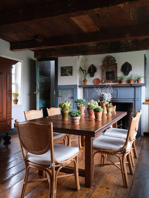 Beatriz Dining Chair by Bunny Williams Home