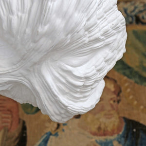 Coquille Pendant