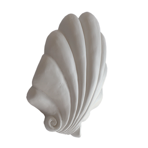 Yves Scallop Shell Sconce