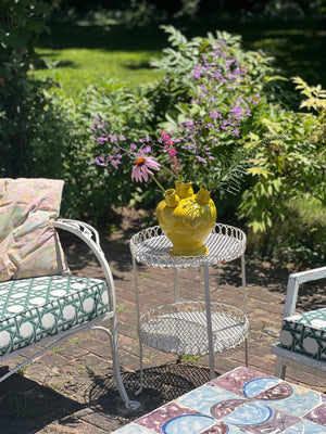 Yellow Caracol Tulipiere