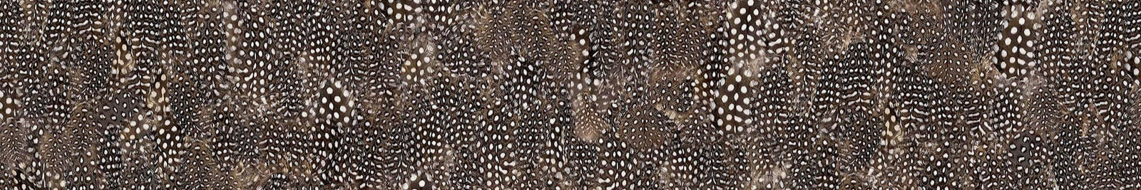 Zoë Design | Wallpaper