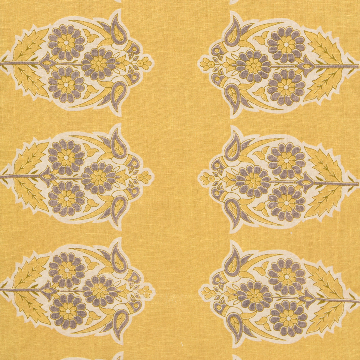 Parakeets | AL - Yellow/Slate