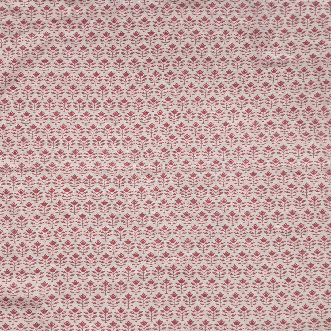 Provence | AL - Blush on Shell
