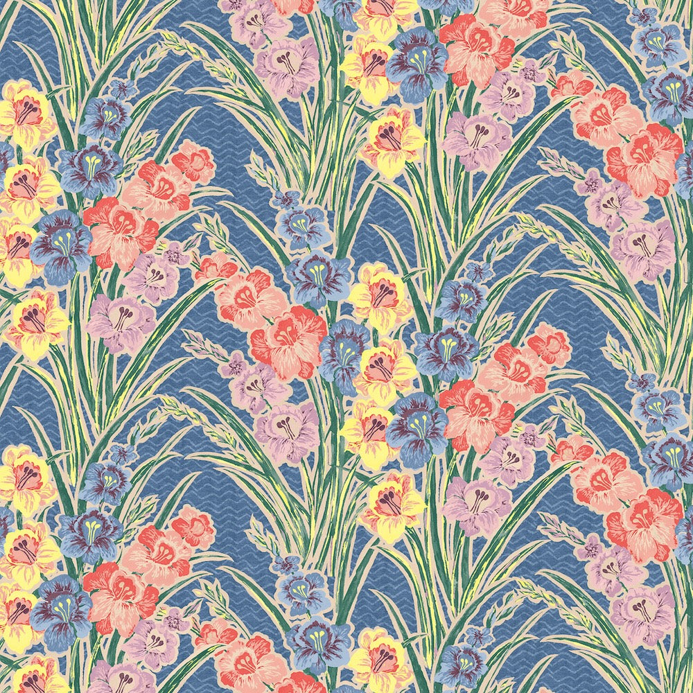 Gladiolus | AS - Blue