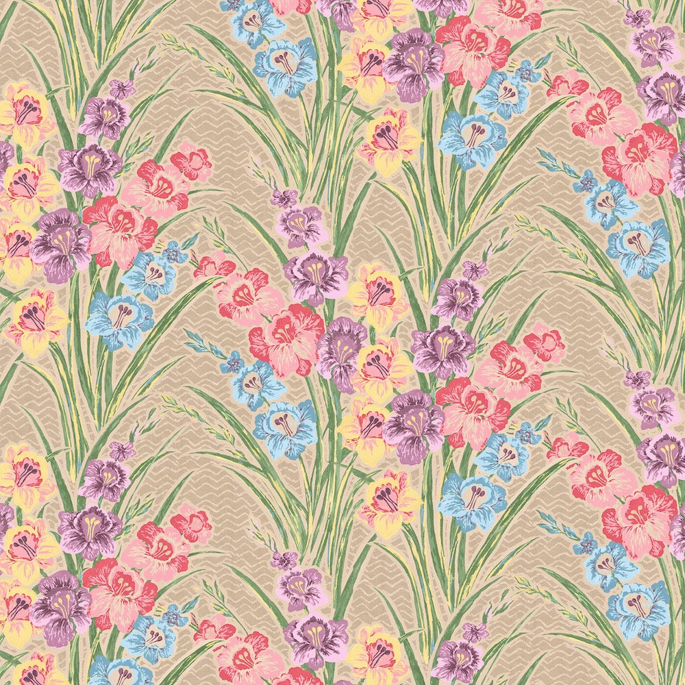 Gladiolus | AS - Taupe