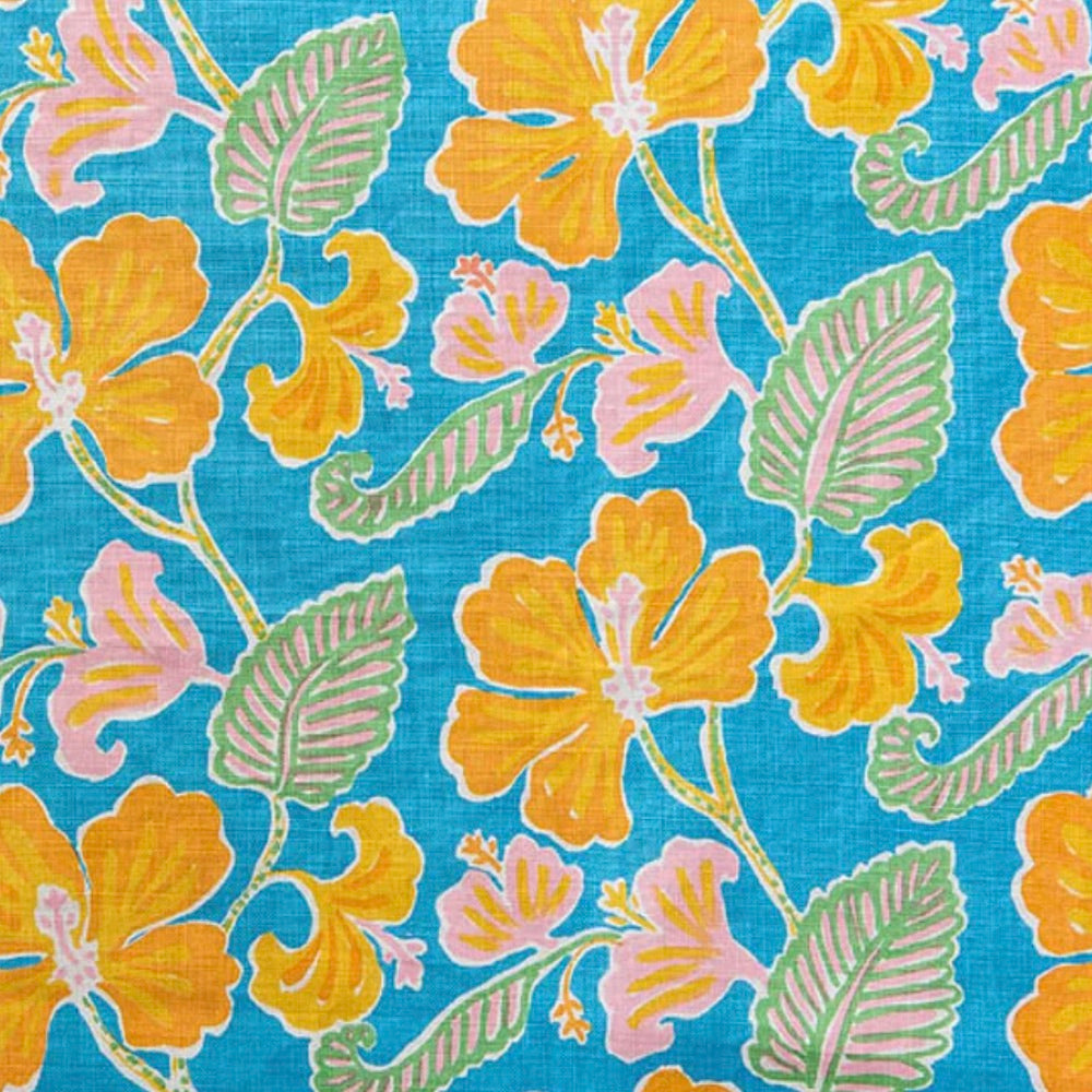 Oahu | AS - Aquarius