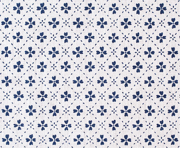 Paniola Inverted | AS - Navy