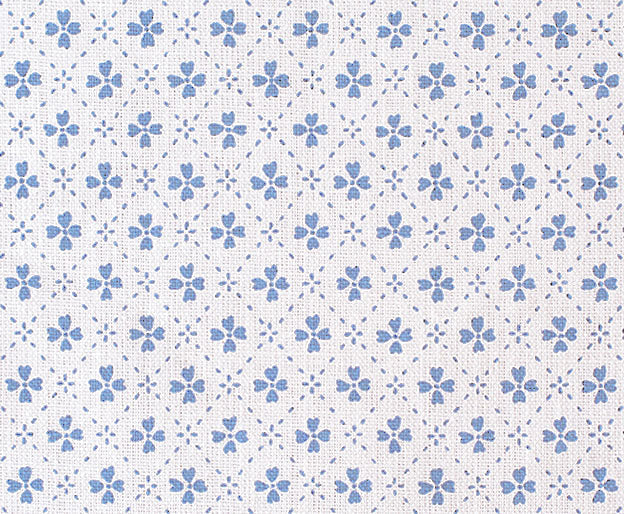 Paniola Inverted | AS - Light Blue