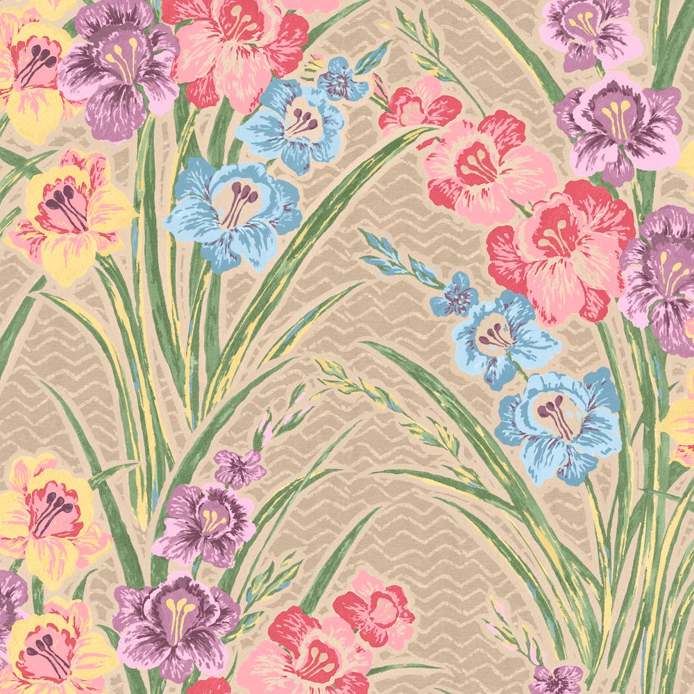Gladiolus WP | AS - Taupe