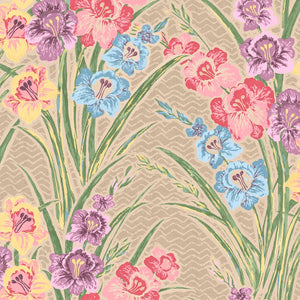 Gladiolus WP | AS