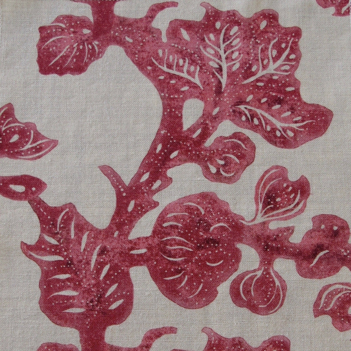 Fruiting Fig (Oatmeal) | BT - Ruby/Pink