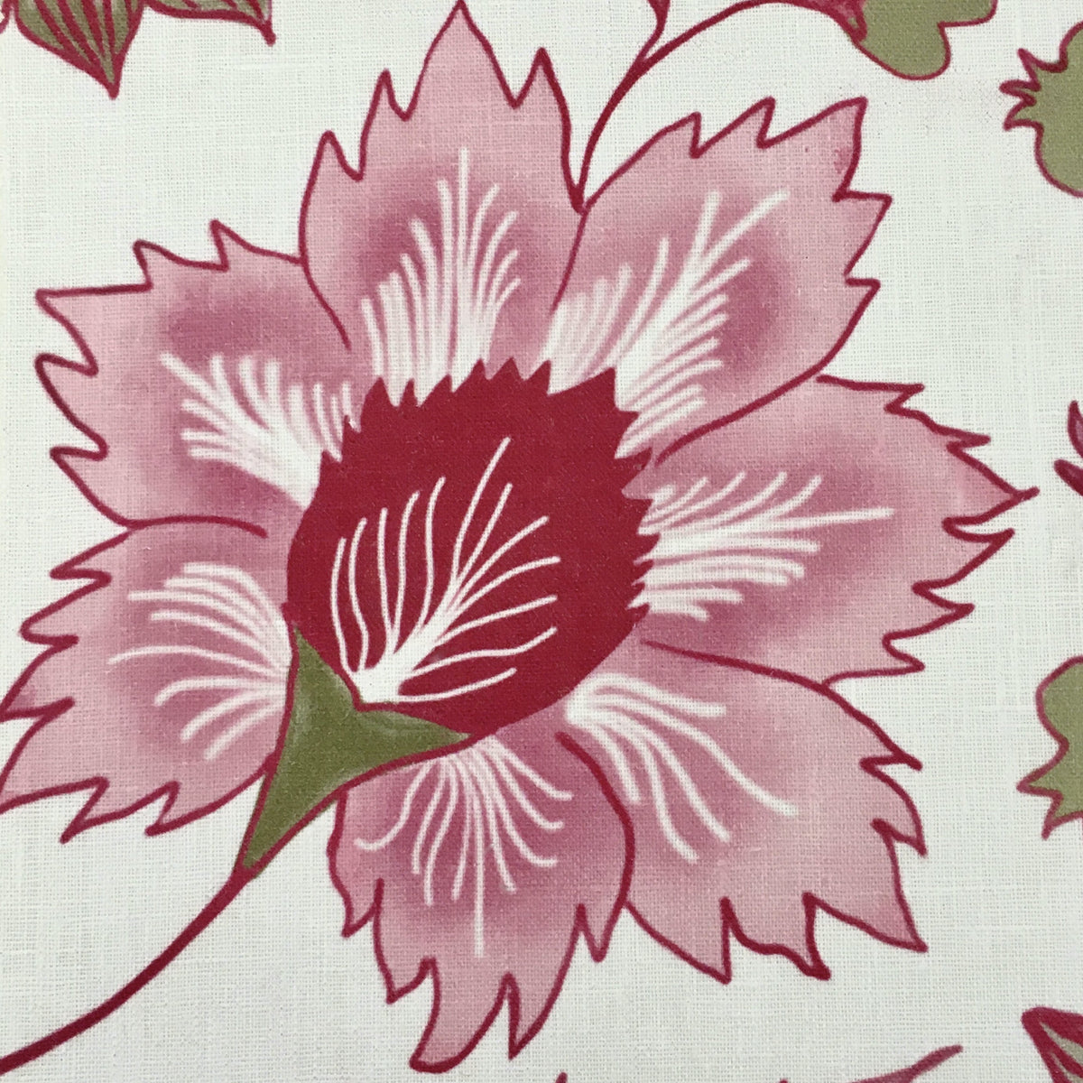 Floral Scroll (Oyster) | BT - Pink