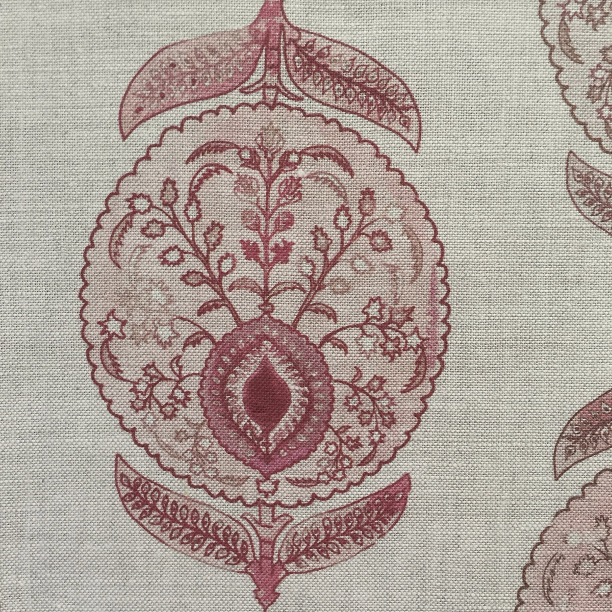 Medalyon (Oatmeal) | BT - Rose