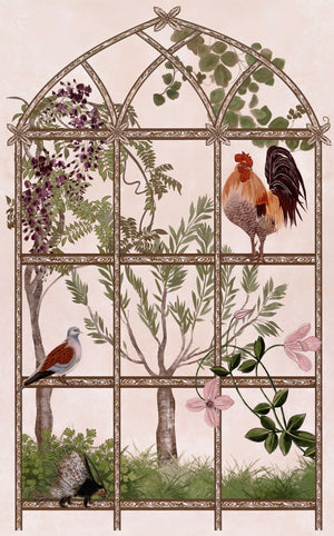 Aviary WP | BT