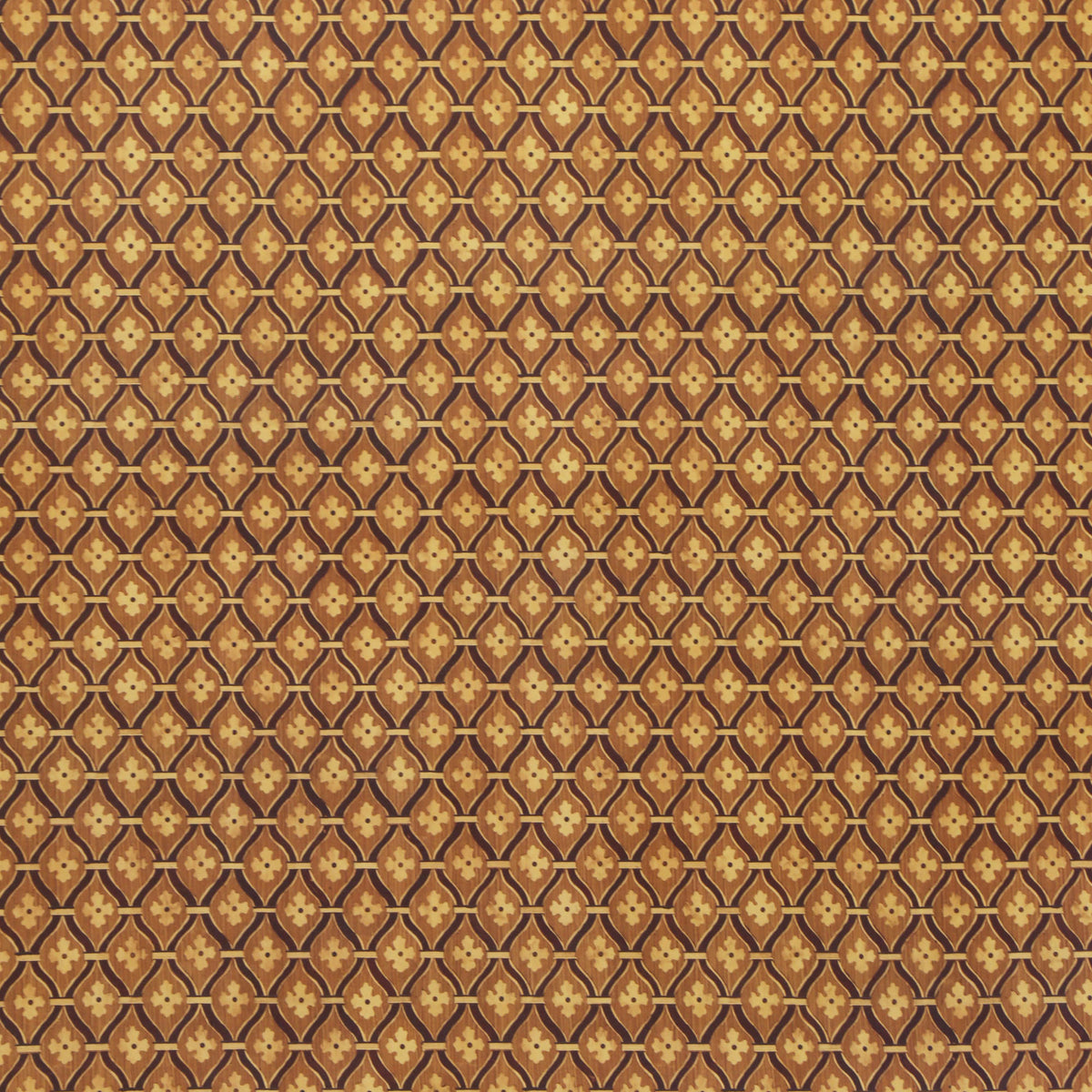 Quercia WP | PMC