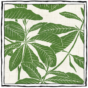 Foglia Paperweave WP | CB