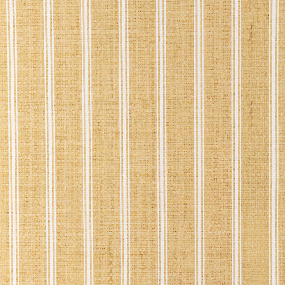 Branca Ticking Paperweave WP | CB - Madagascar