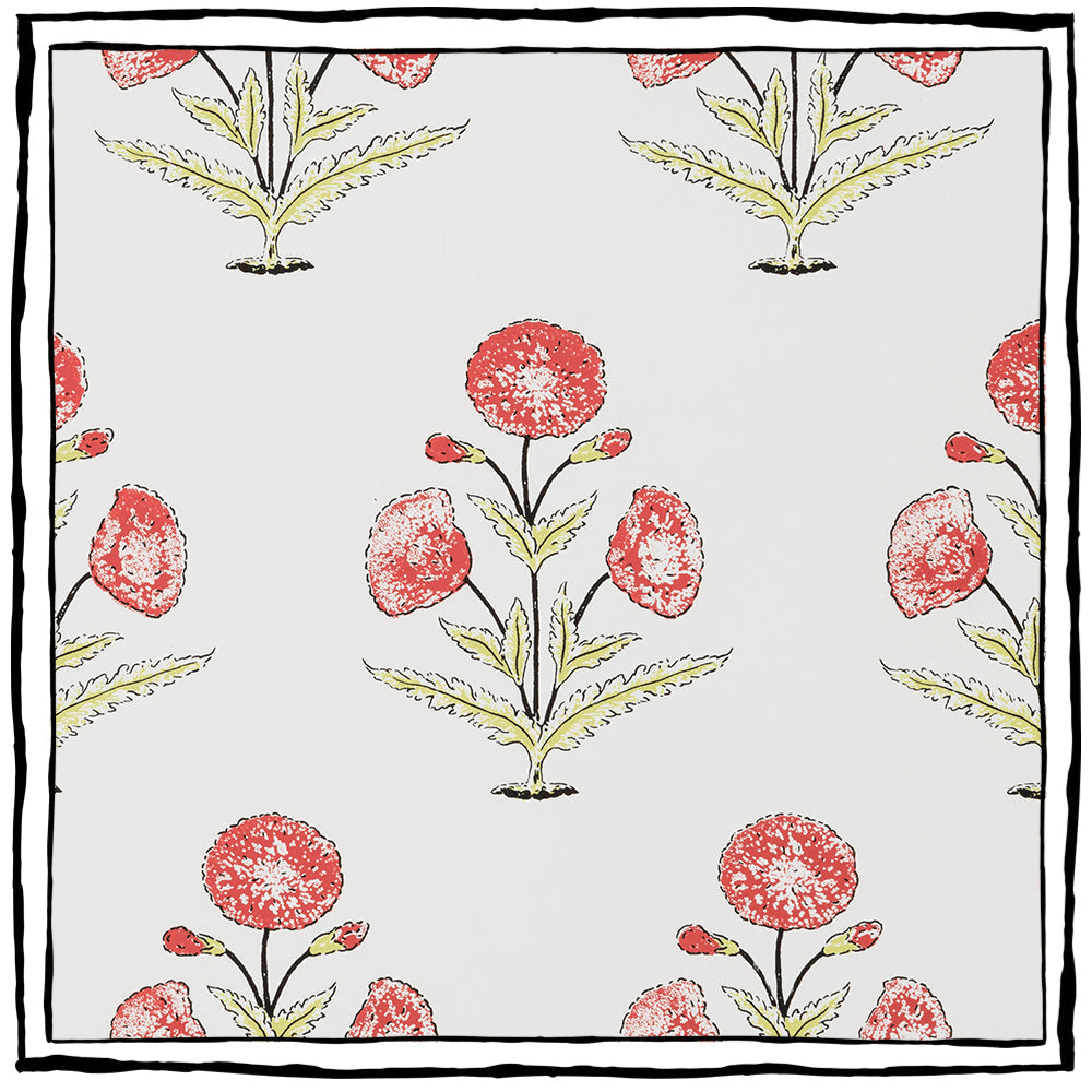 Papavero WP | CB - Coral & Celery