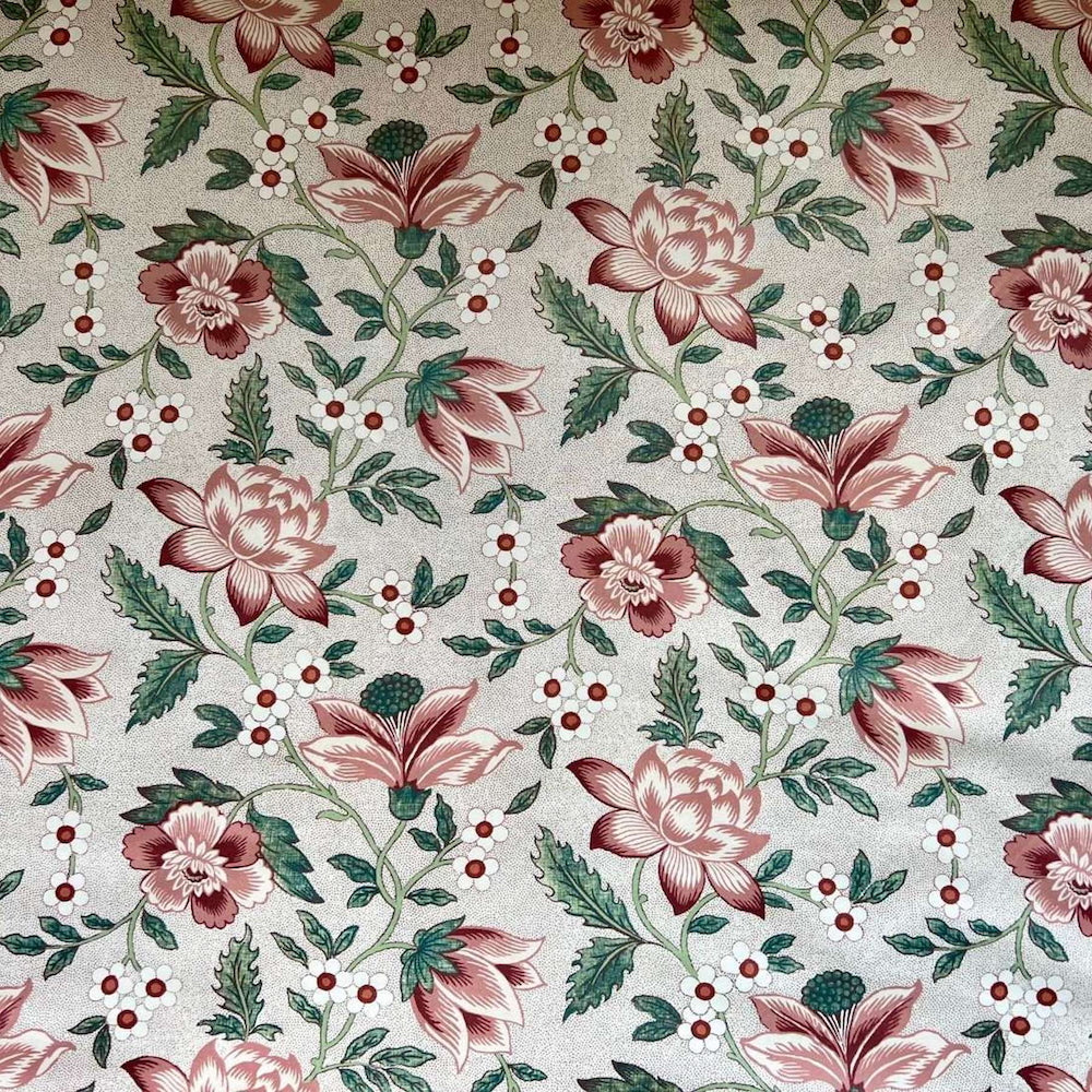 Hibiscus | CG - Cochineal