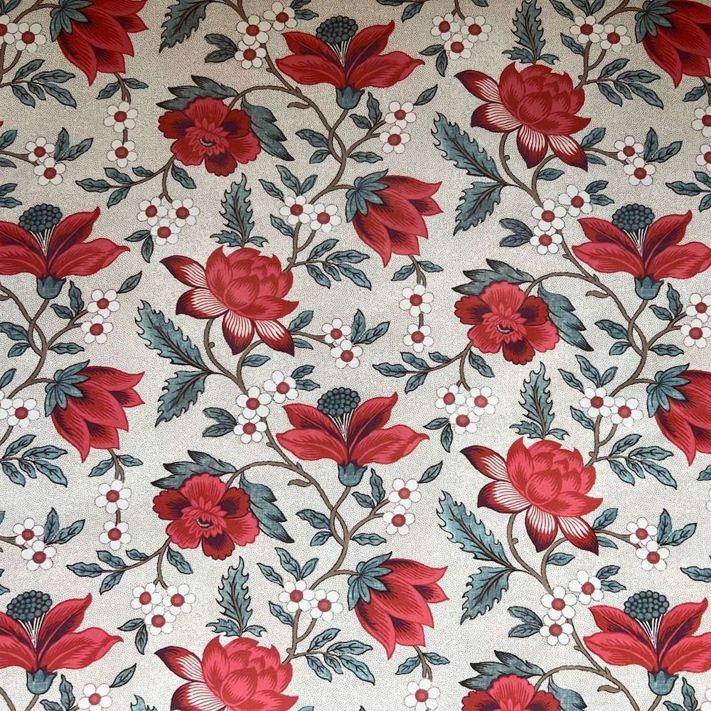 Hibiscus | CG - Kenya Red