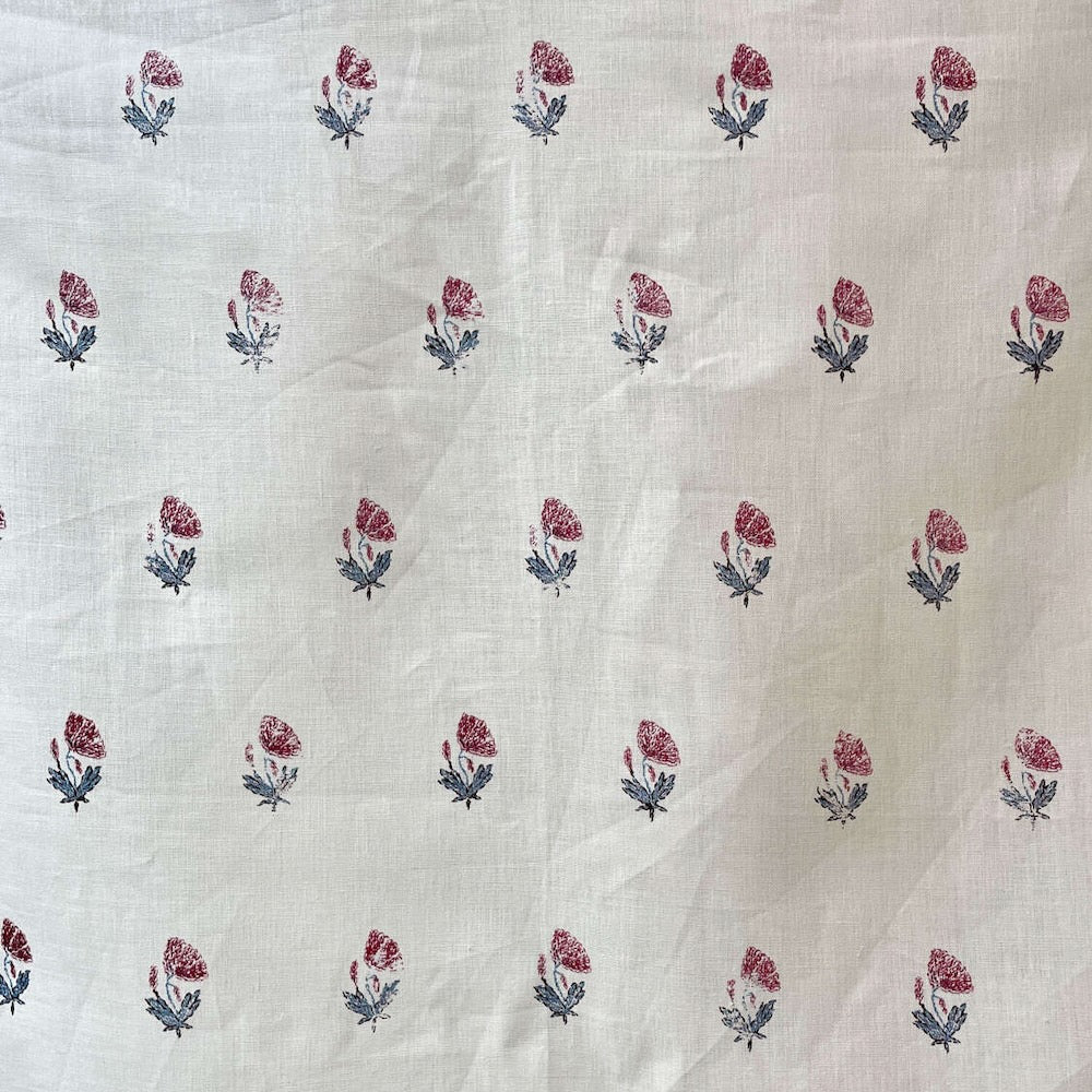 Mughal Poppy | CG - Blue