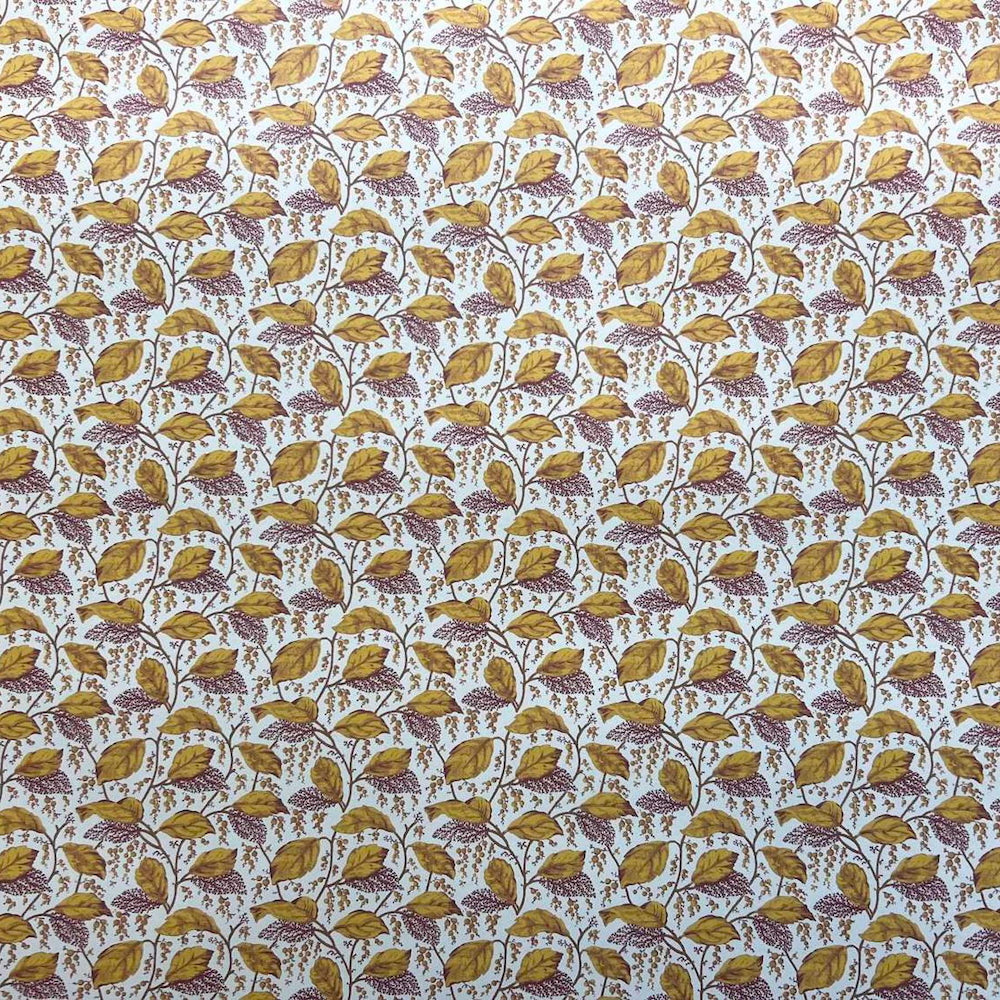 Alba WP | CG - Amber