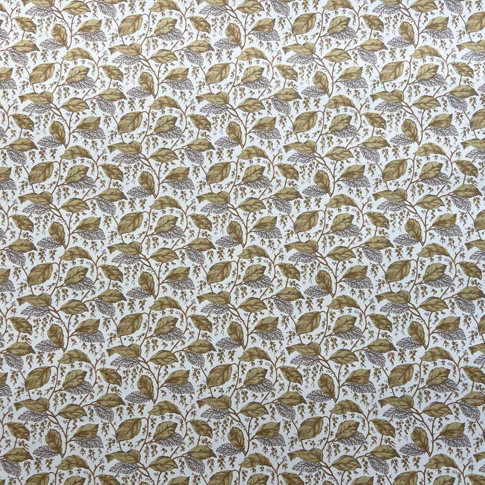 Alba WP | CG - Greengage