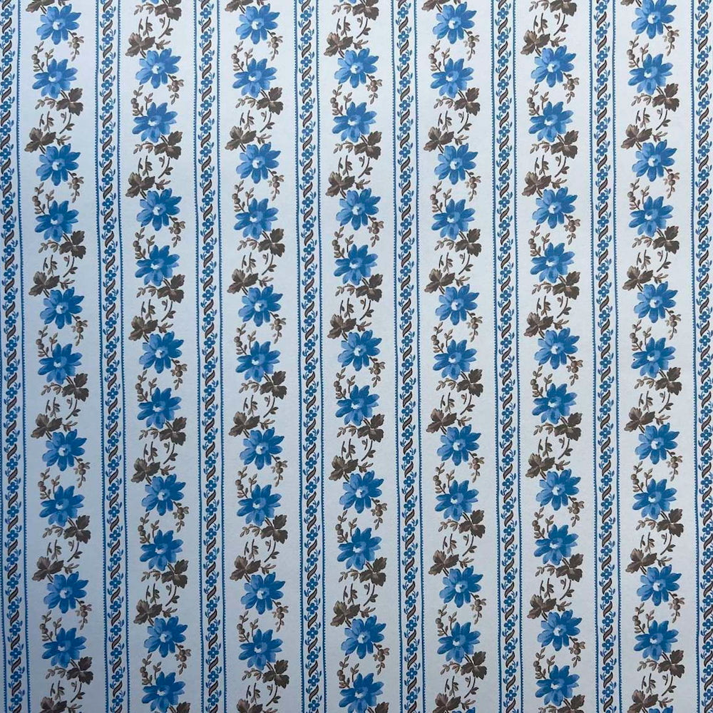 Pamina WP | CG - Delphinium