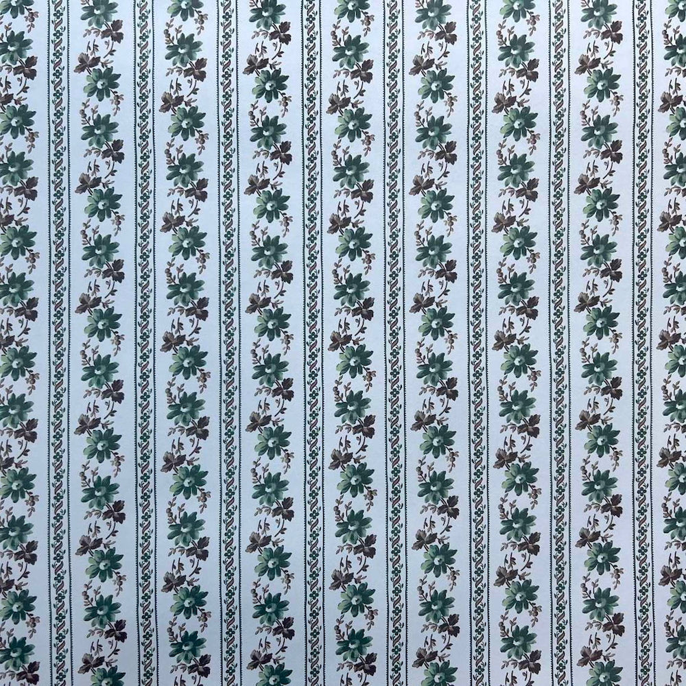 Pamina WP | CG - Sage