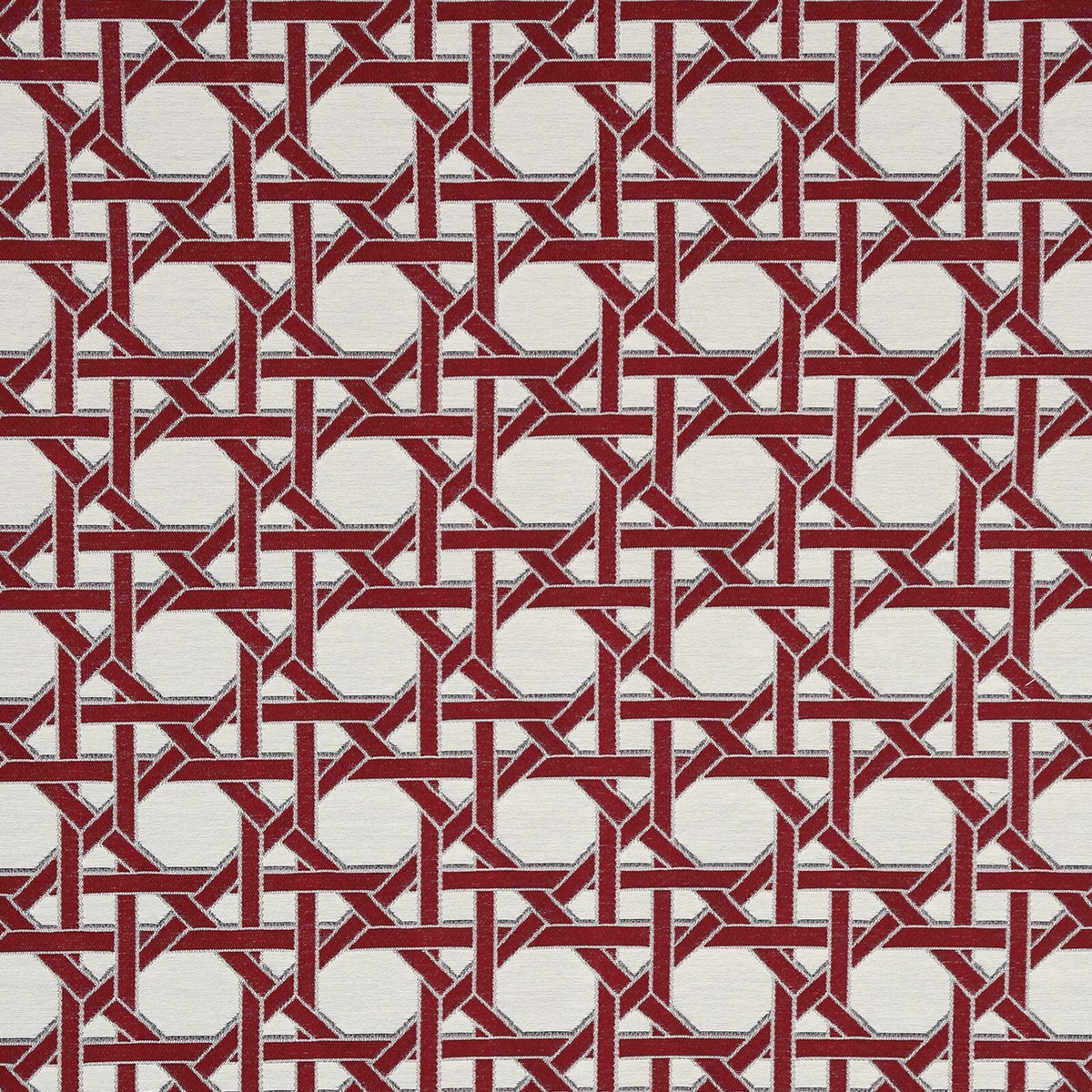 California Caning Performance | CI - Coral