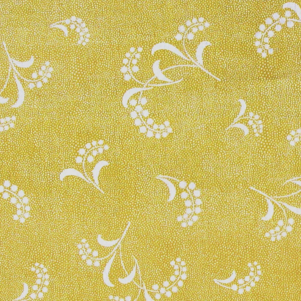 Mimosa WP | CI - Yellow