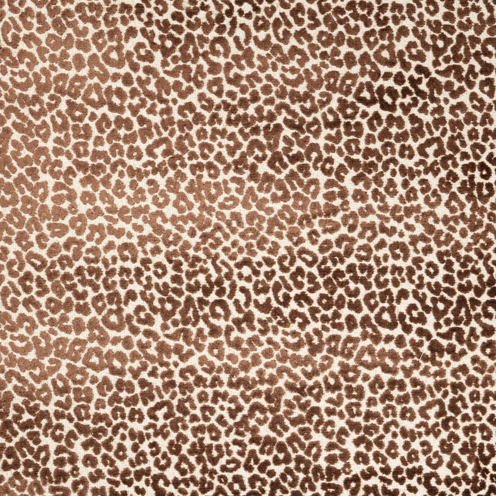 Bagheera | CL - Brown