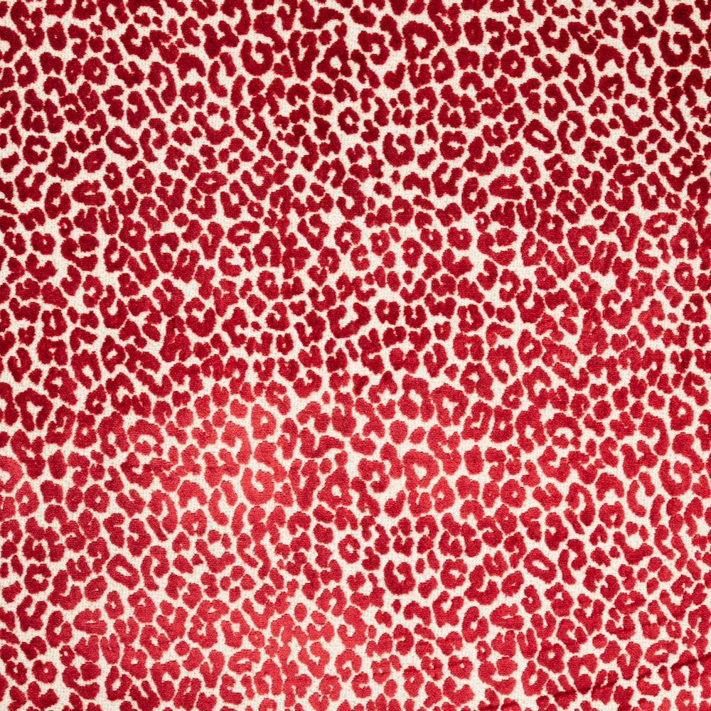 Bagheera | CL - Fuchsia