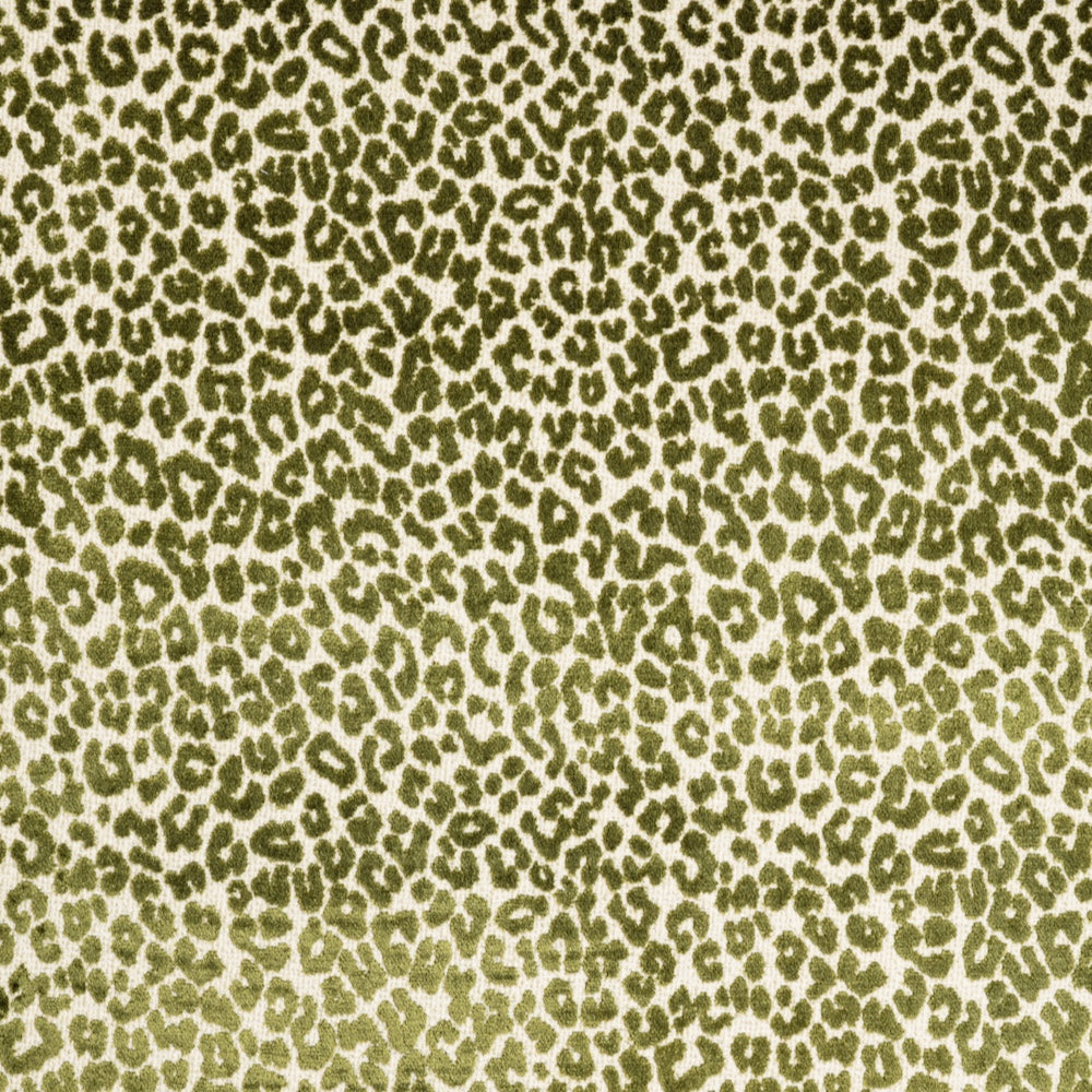 Bagheera | CL - Green