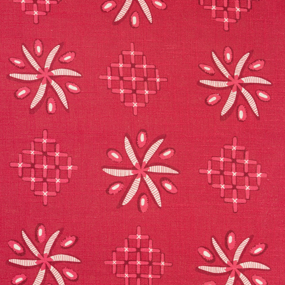 Casimir | CL - Pink w/ Fuchsia Background