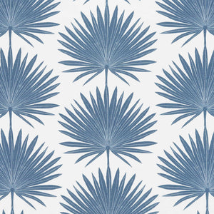 Palmetto | MCP