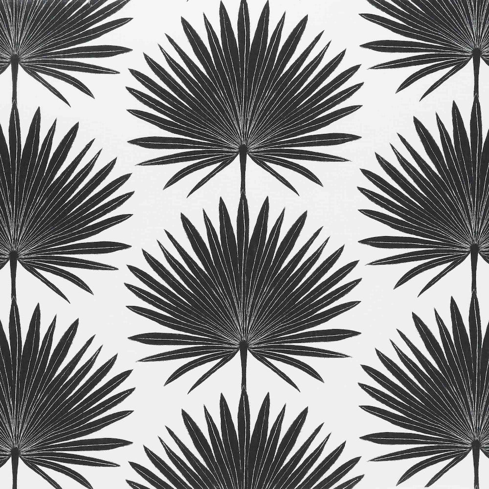 Palmetto | MCP - Jet