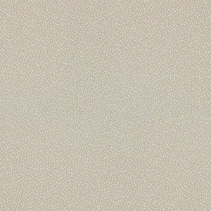 Shibori | MCP