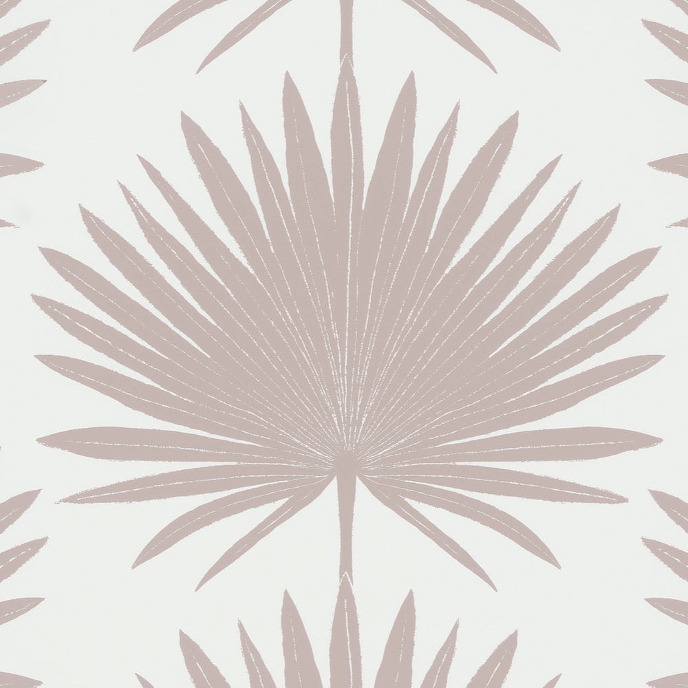 Palmetto WP | MCP - Cameo
