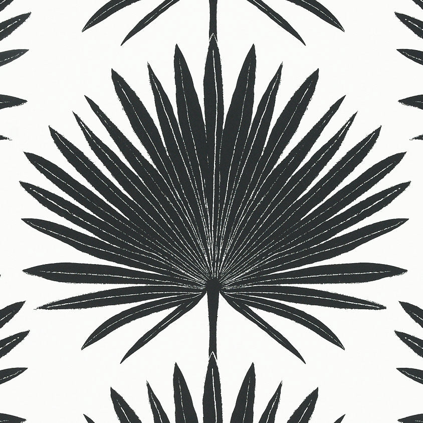 Palmetto WP | MCP - Jet