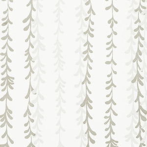 Weeping Willow WP | MCP