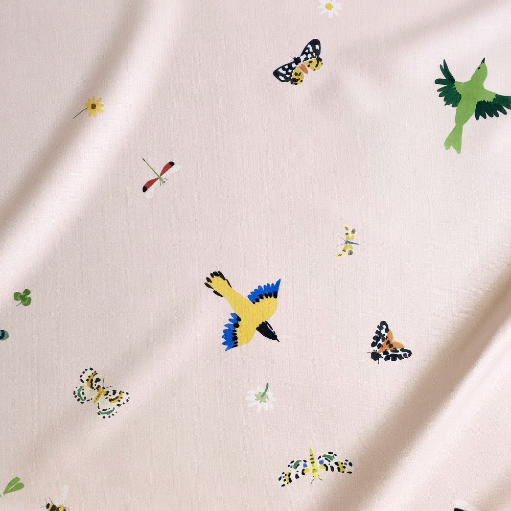 Little Wing | CMG - Shell