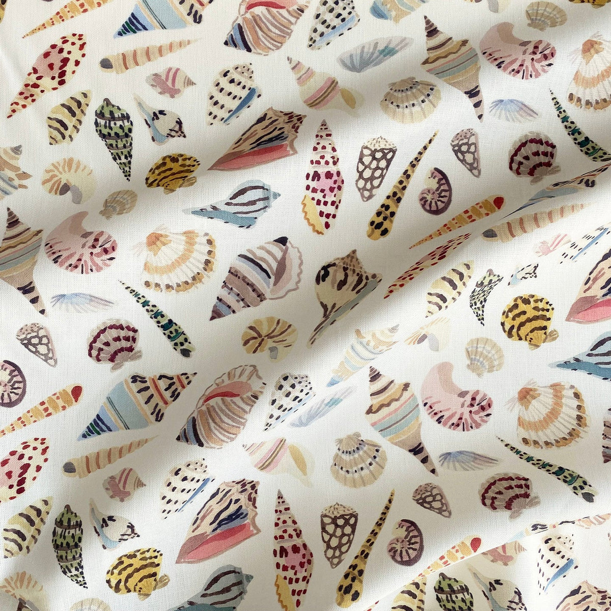 Shells | CMG - Oyster