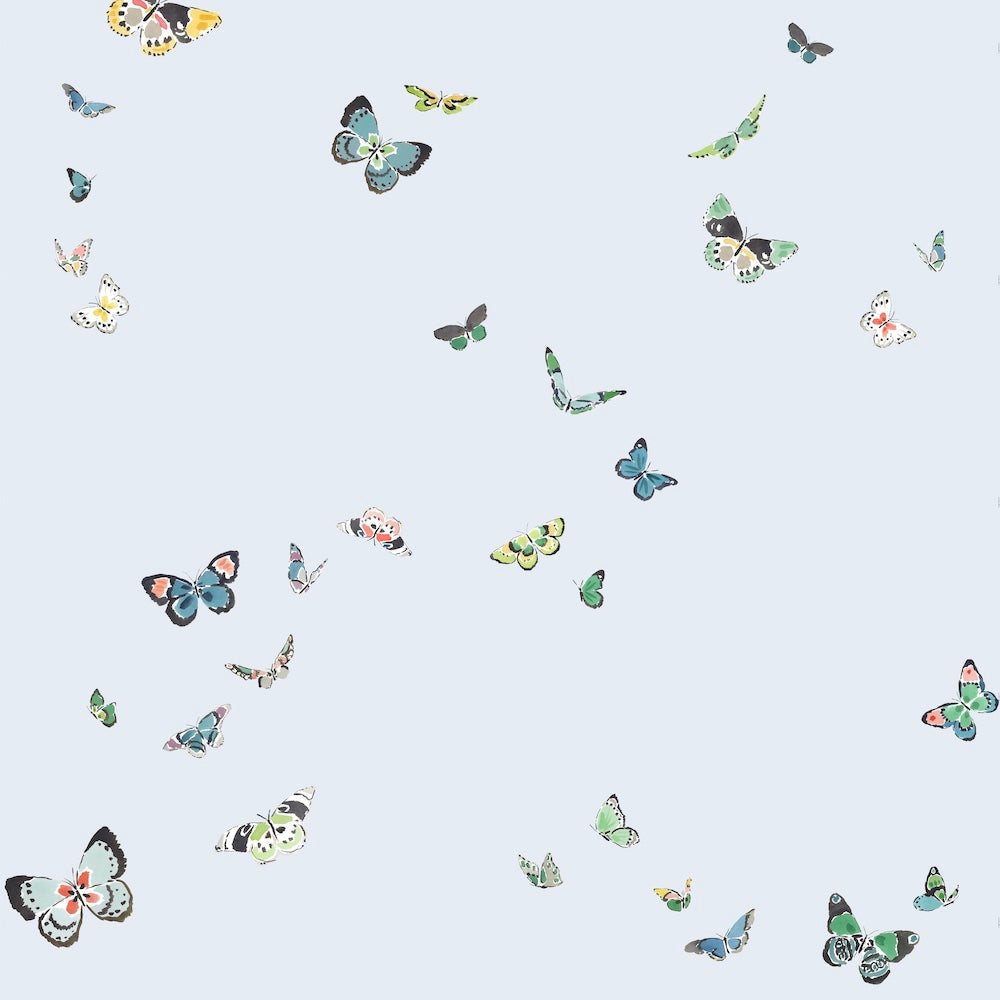 Butterflies WP | CMG - Light Blue