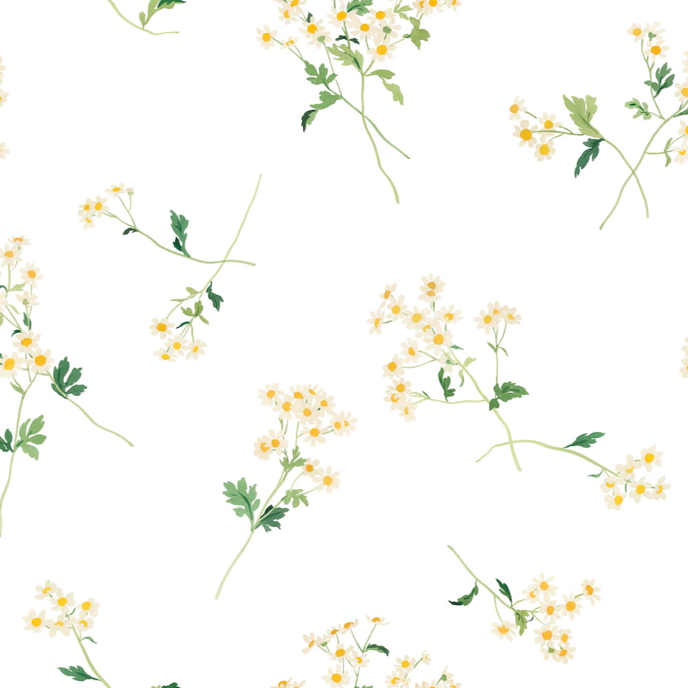 Feverfew WP | CMG - White