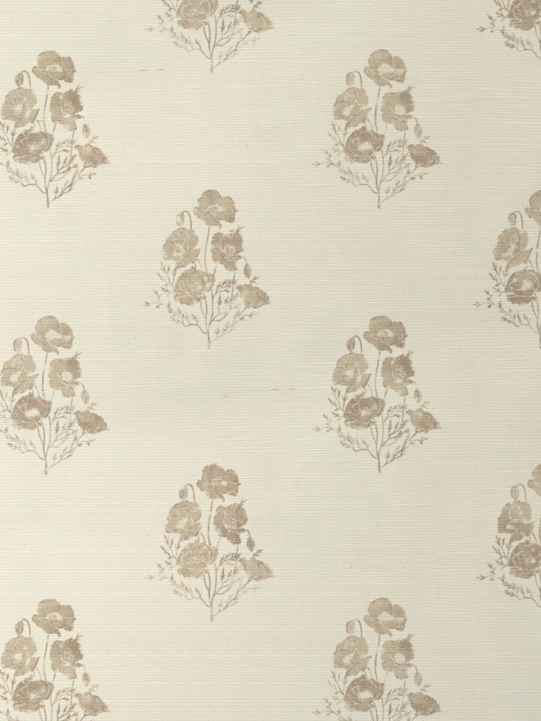 California Poppy GC | NT - Neutral