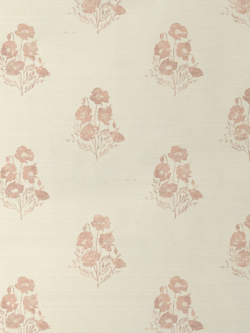 California Poppy GC | NT - Pink