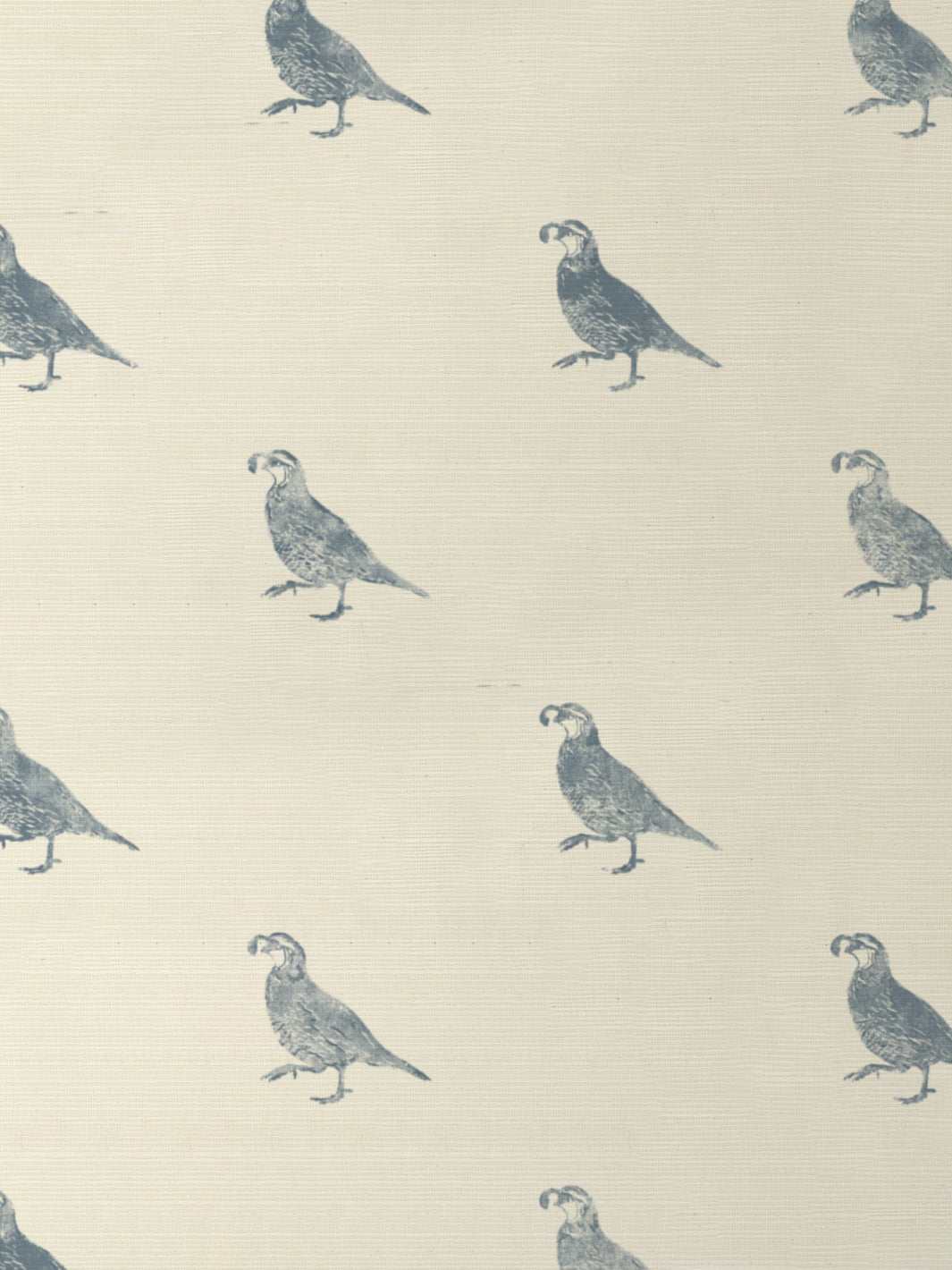 California Quail GC | NT - Blue