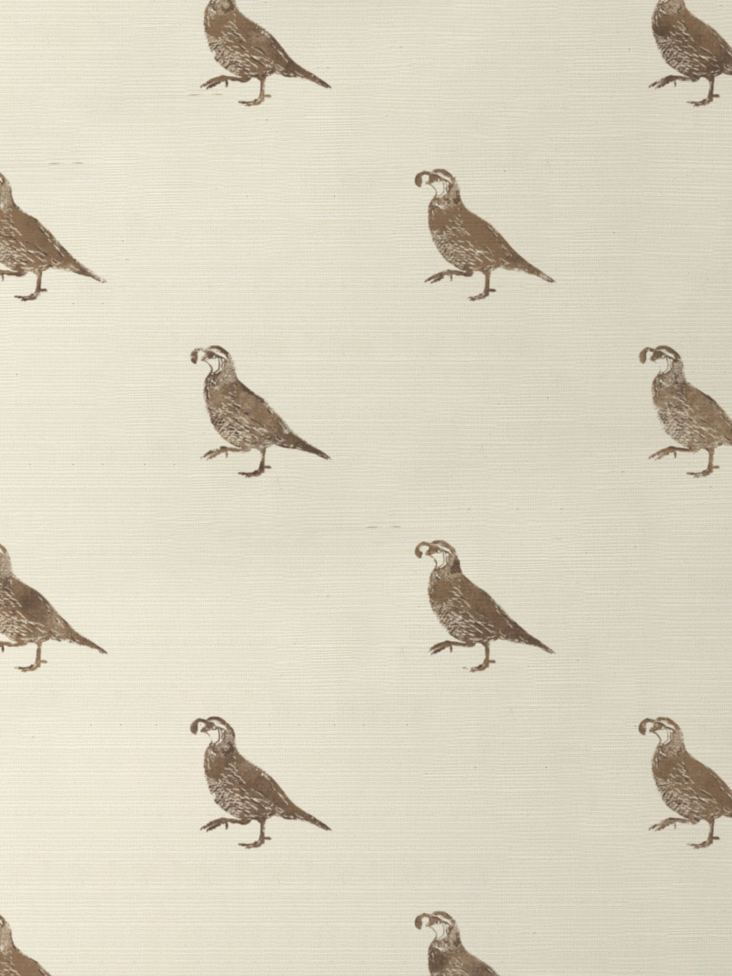 California Quail GC | NT - Brown