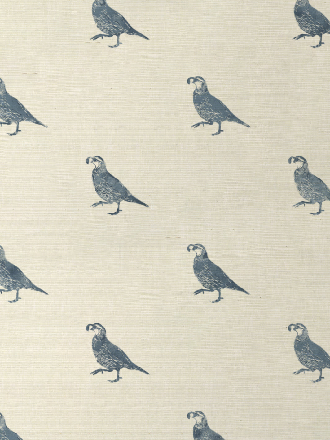 California Quail GC | NT - Darker Blue